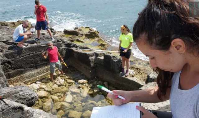 Il tesoro archeologico di Torre a Mare: tombe e antichi reperti tra spiagge e bagnanti